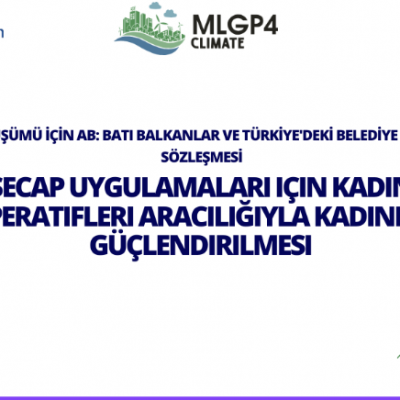SECAP Uygulamaları İçin Kadın Kooperatifleri Aracalığıyla Kadınların Güçlendirilmesi Etkinliği